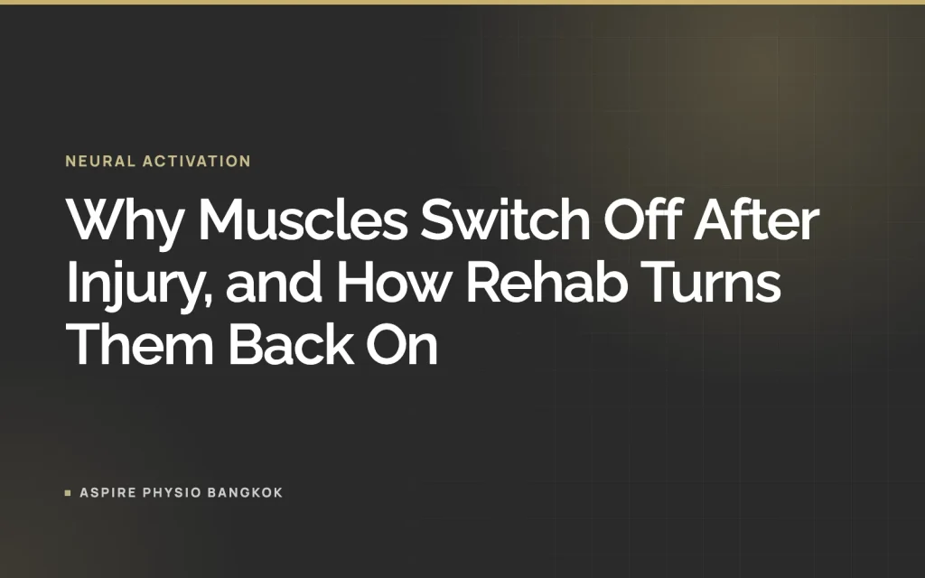 Why Muscles Switch Off After Injury, and How Rehab Turns Them Back On