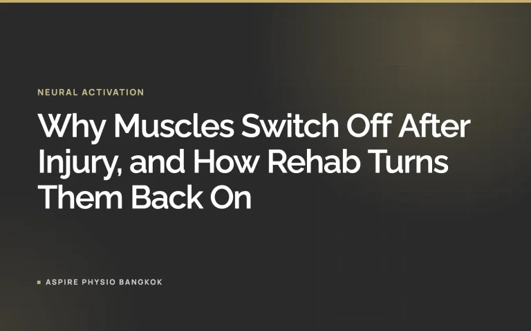 Why Muscles Switch Off After Injury, and How Rehab Turns Them Back On